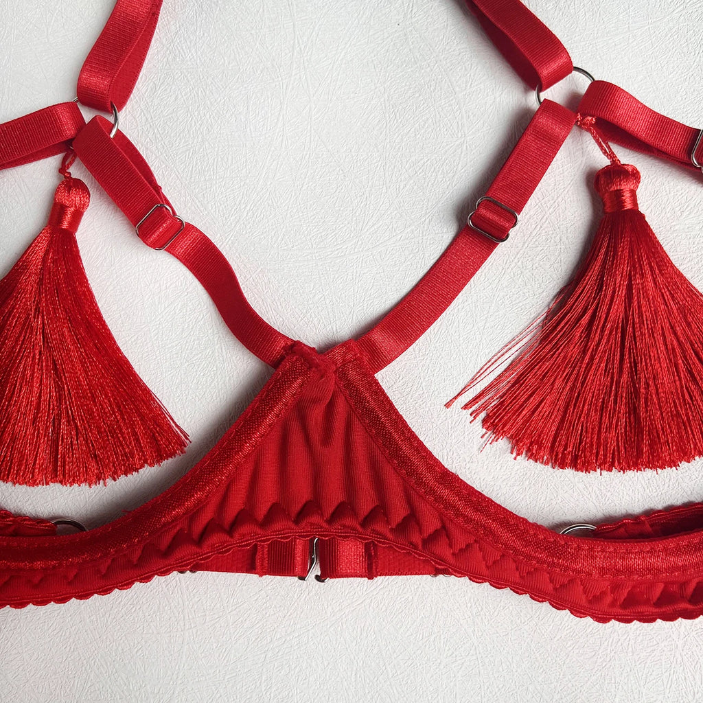 Ellolace Sensual Tassel Fetish Lingerie See Through Open Bra Bilizna Set Hot Sexy Intimate Naked Crotchless Panties Exotic Sets